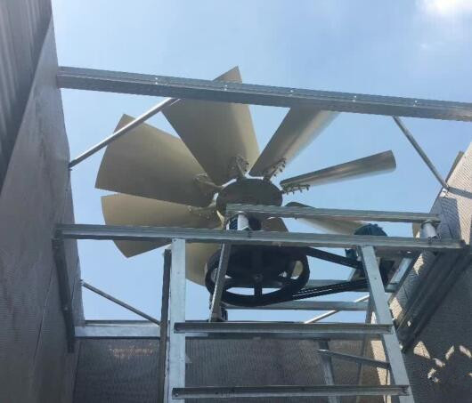 冷却塔风机电机维护的必要性